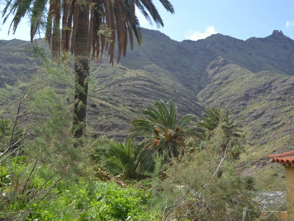 Casa Los Palmeros Perdomo Alojera Eksteriør bilde